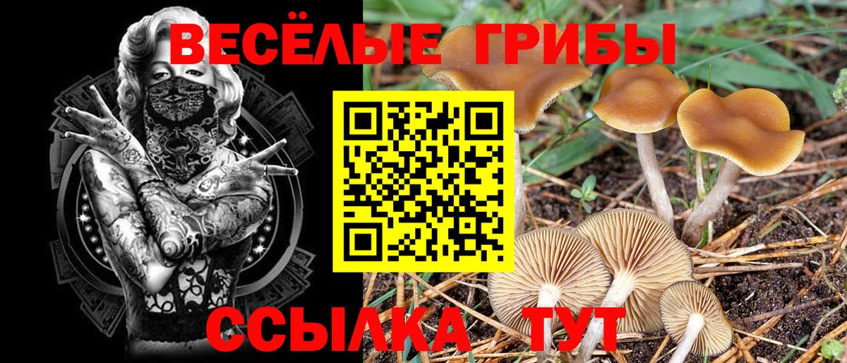 Верхняя Салда  Псилоцибиновые грибы Cubensis  Вход с VPN 